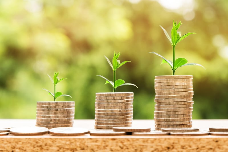 Investment Planting Tree Growth